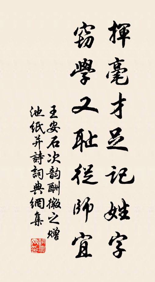 王安石挥毫才足记姓字，窃学又耻从师宜书法作品欣赏
