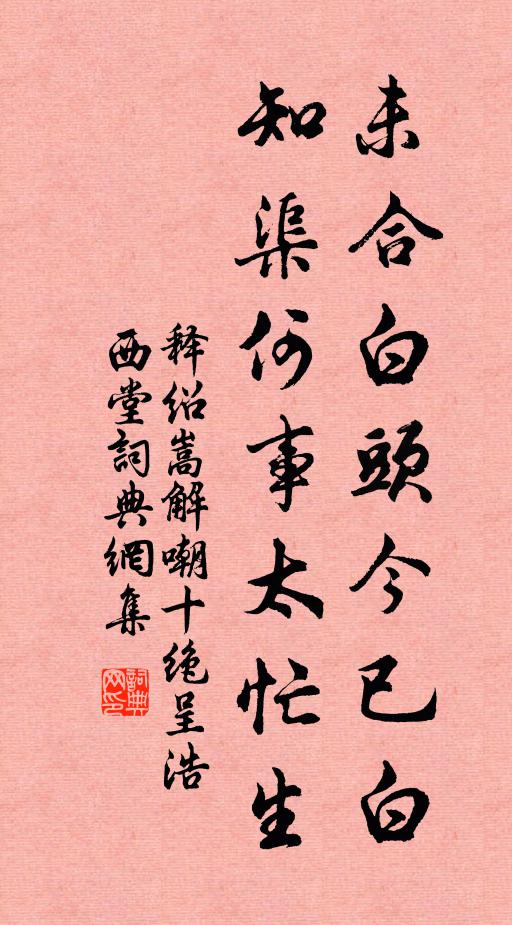 释绍嵩未合白头今已白，知渠何事太忙生书法作品欣赏