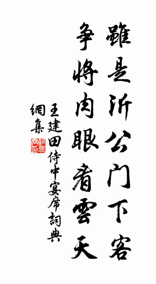 王建虽是沂公门下客，争将肉眼看云天书法作品欣赏