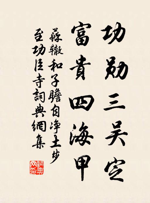 苏辙功勋三吴定，富贵四海甲书法作品欣赏