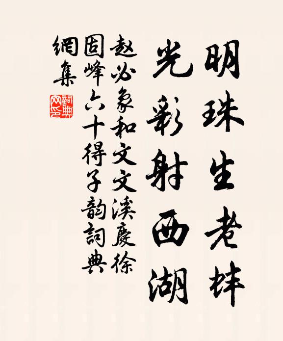 赵必象明珠生老蚌，光彩射西湖书法作品欣赏