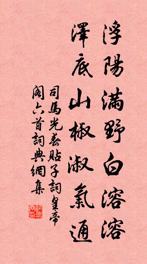 司马光浮阳满野白溶溶，泽底山椒淑气通书法作品欣赏