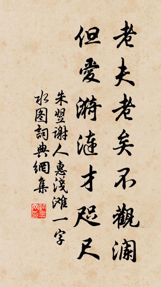 朱翌老夫老矣不观澜，但爱漪涟才咫尺书法作品欣赏