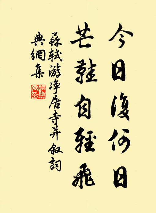 苏轼今日复何日，芒鞋自轻飞书法作品欣赏