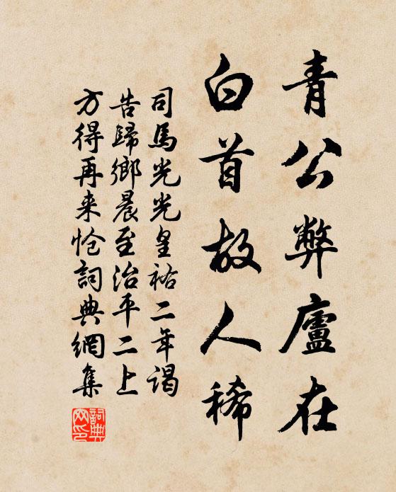司马光青公弊庐在，白首故人稀书法作品欣赏