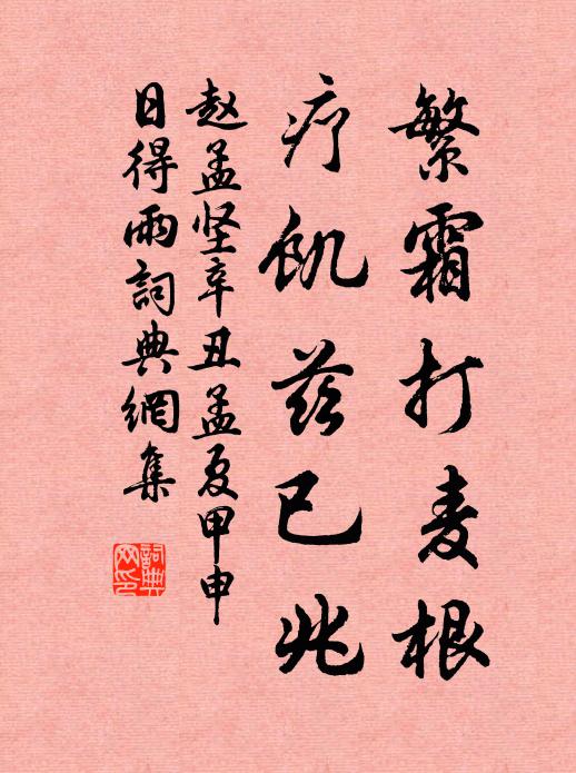赵孟坚繁霜打麦根，疗饥兹已兆书法作品欣赏