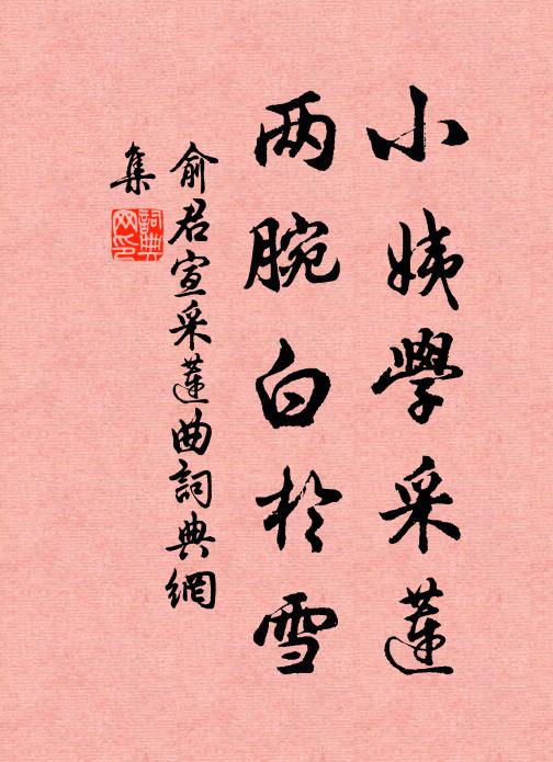 俞君宣小姨学采莲，两腕白于雪书法作品欣赏
