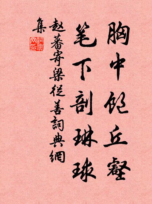 赵蕃胸中饱丘壑，笔下剖琳球书法作品欣赏