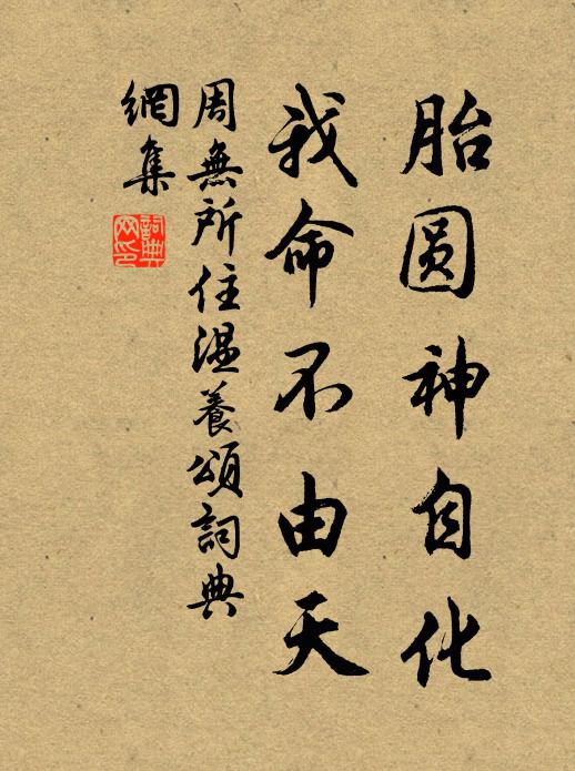 周无所住胎圆神自化，我命不由天书法作品欣赏