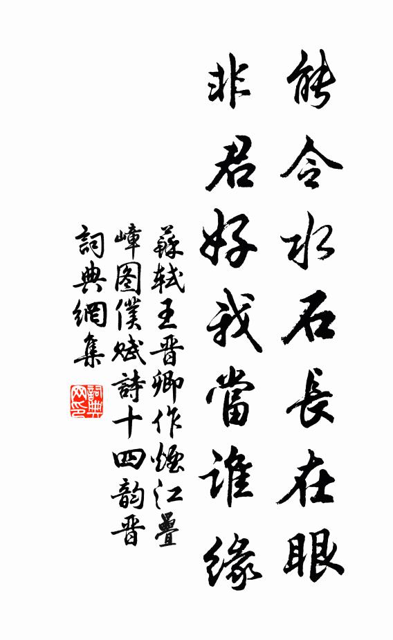 苏轼能令水石长在眼，非君好我当谁缘书法作品欣赏