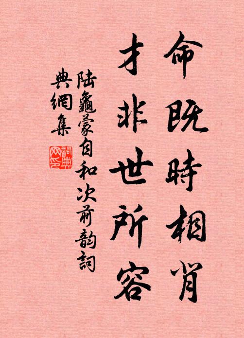 陆龟蒙命既时相背，才非世所容书法作品欣赏
