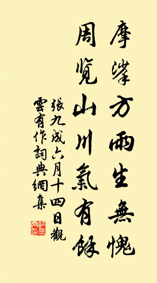 张九成摩挲方雨生无愧，周览山川气有余书法作品欣赏