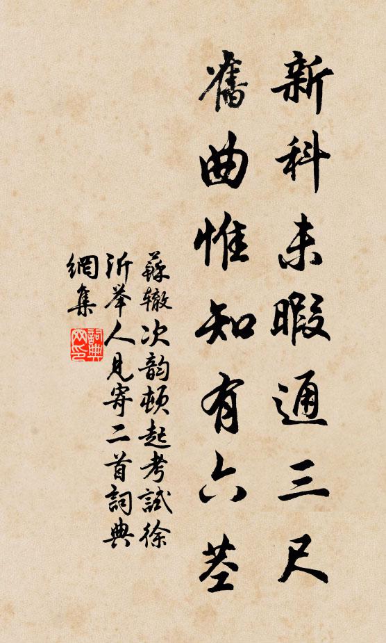 苏辙新科未暇通三尺，旧曲惟知有六茎书法作品欣赏