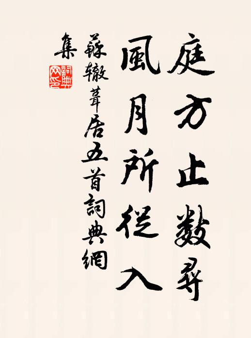 苏辙庭方止数寻，风月所从入书法作品欣赏