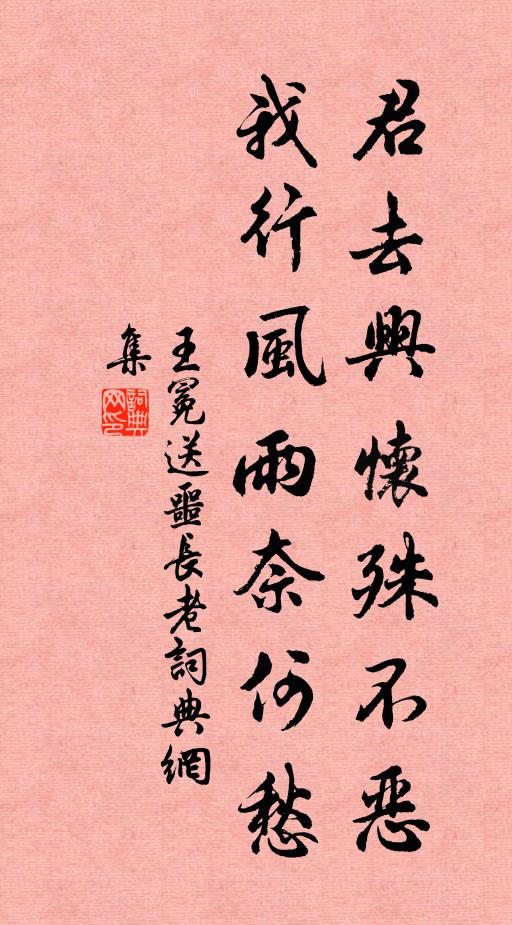 王冕君去兴怀殊不恶，我行风雨奈何愁书法作品欣赏