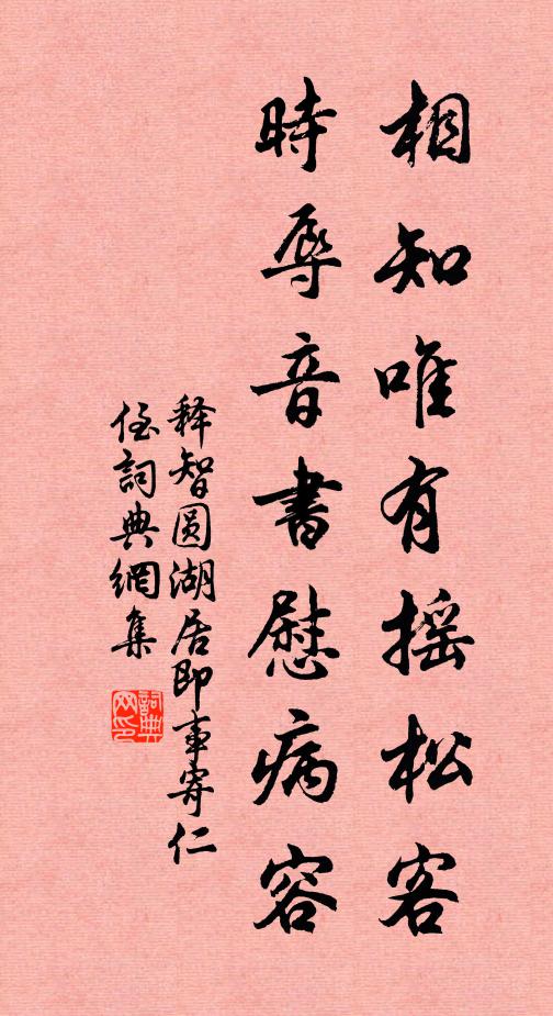 释智圆相知唯有摇松客，时辱音书慰病容书法作品欣赏