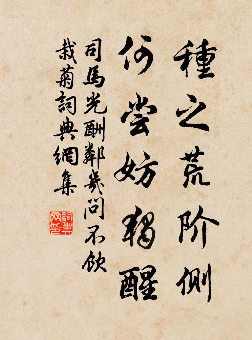 司马光种之荒阶侧，何尝妨独醒书法作品欣赏