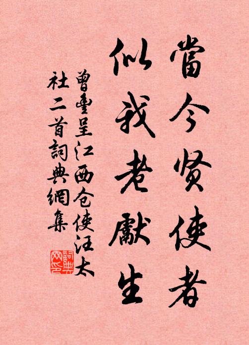 曾丰当今贤使者，似我老先生书法作品欣赏