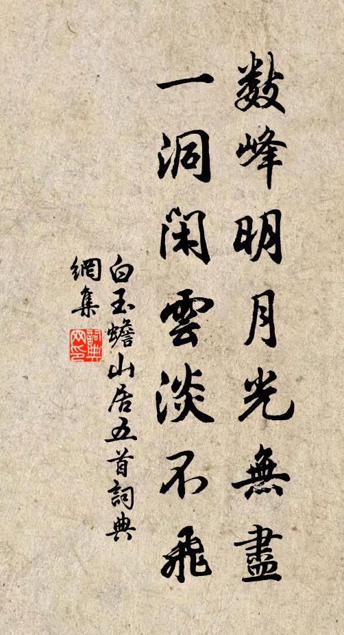 白玉蟾数峰明月光无尽，一洞闲云淡不飞书法作品欣赏