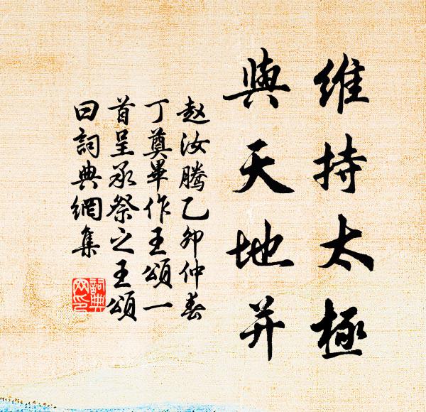 赵汝腾维持太极，与天地并书法作品欣赏