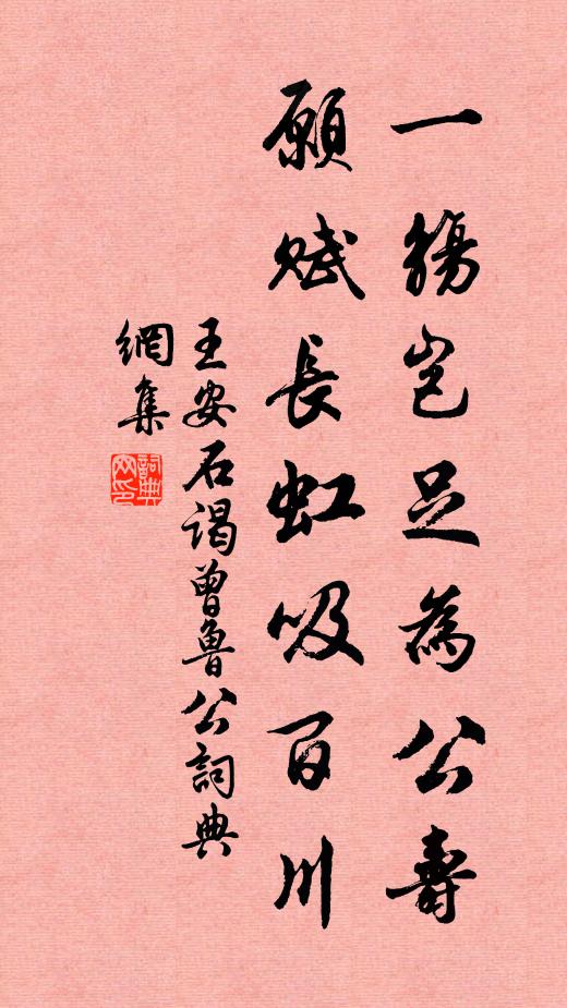 王安石一觞岂足为公寿，愿赋长虹吸百川书法作品欣赏
