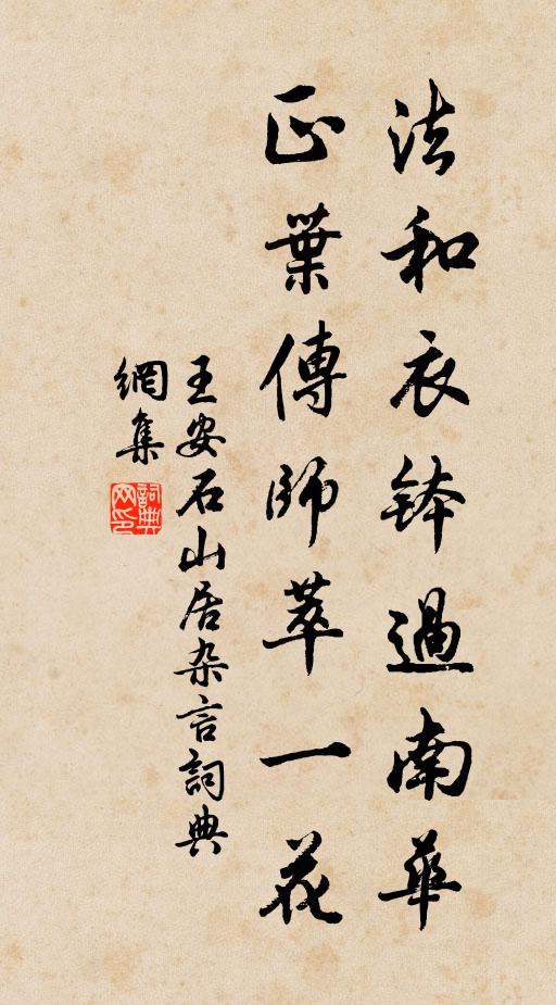 王安石法和衣钵过南华，正叶传师萃一花书法作品欣赏