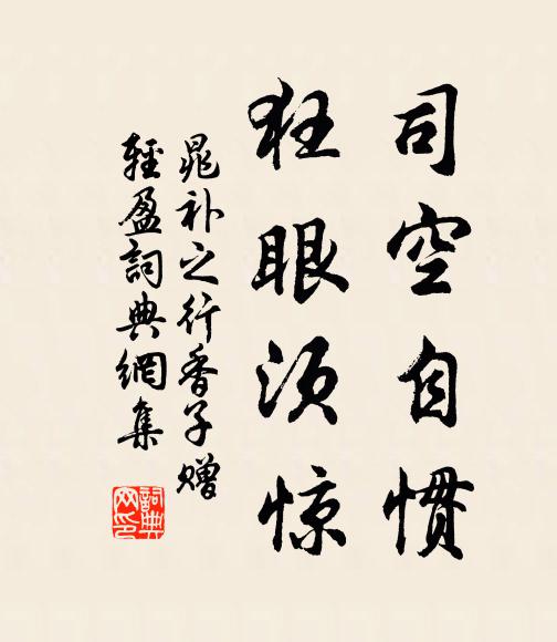 晁补之司空自惯，狂眼须惊书法作品欣赏