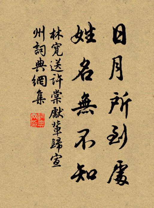 林宽日月所到处，姓名无不知书法作品欣赏