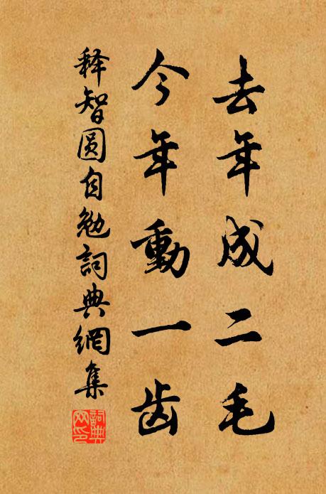 释智圆去年成二毛，今年动一齿书法作品欣赏