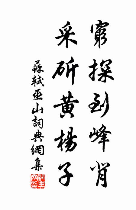 苏轼穷探到峰背，采斫黄杨子书法作品欣赏
