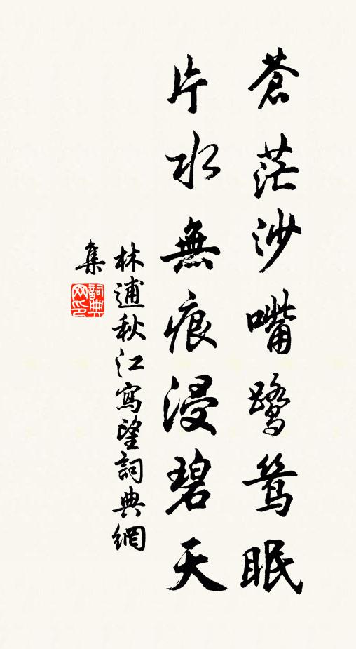 林逋苍茫沙嘴鹭鸶眠，片水无痕浸碧天书法作品欣赏