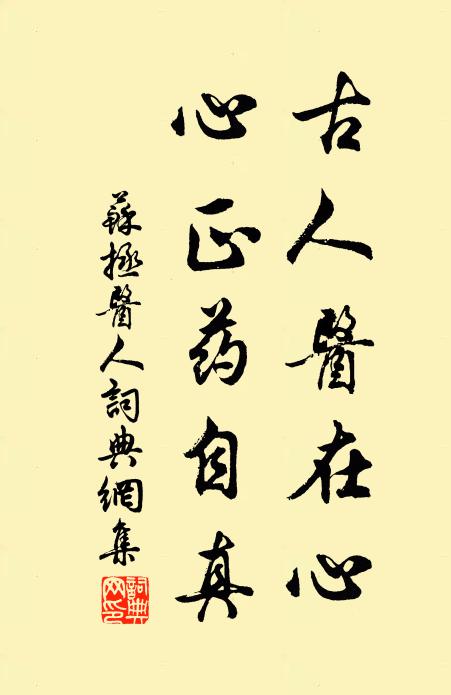 苏拯古人医在心，心正药自真书法作品欣赏