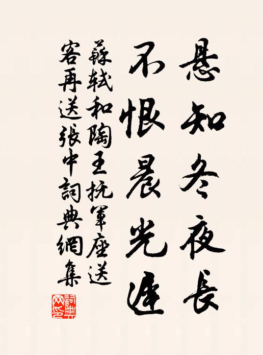 苏轼悬知冬夜长，不恨晨光迟书法作品欣赏