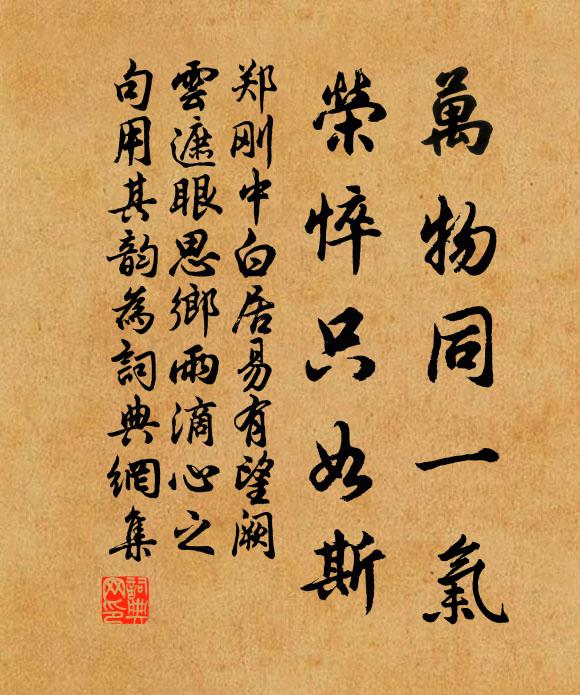 郑刚中万物同一气，荣悴只如斯书法作品欣赏