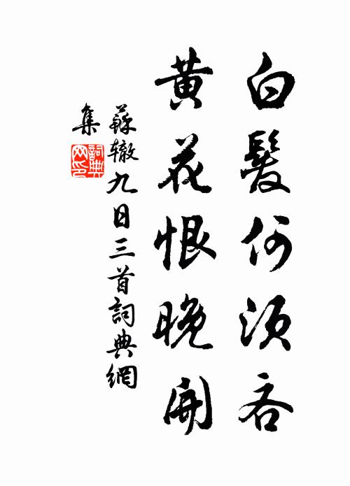 苏辙白发何须吝，黄花恨晚开书法作品欣赏