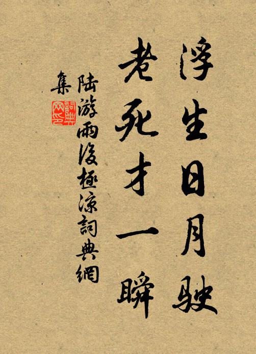 陆游浮生日月驶，老死才一瞬书法作品欣赏