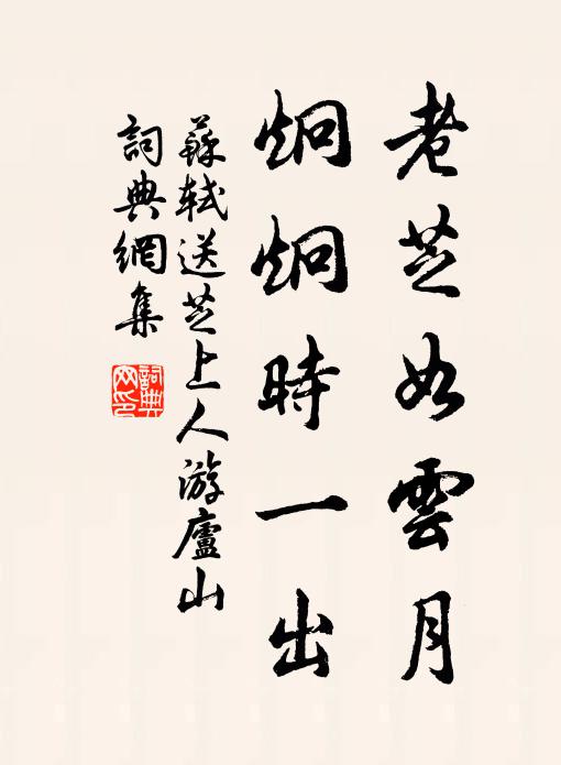 苏轼老芝如云月，炯炯时一出书法作品欣赏