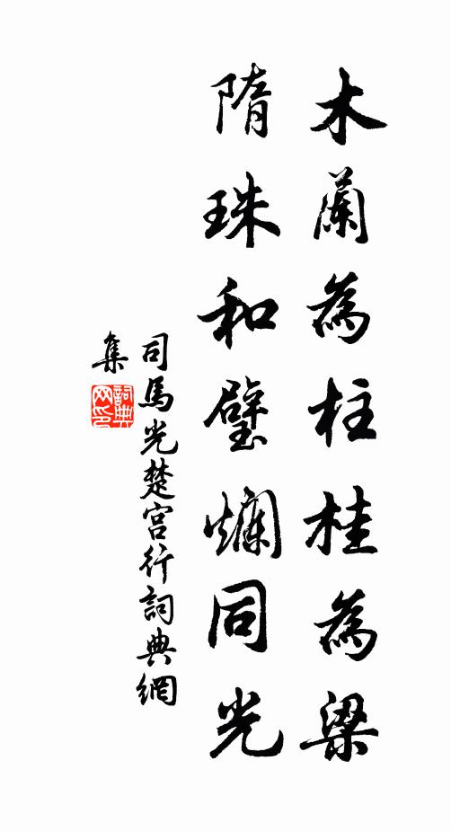 司马光木兰为柱桂为梁，隋珠和璧烂同光书法作品欣赏