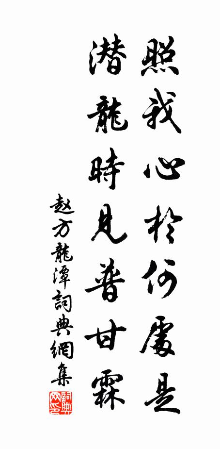 赵方照我心於何处是，潜龙时见普甘霖书法作品欣赏