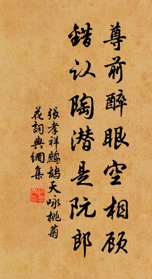 张孝祥尊前醉眼空相顾，错认陶潜是阮郎书法作品欣赏