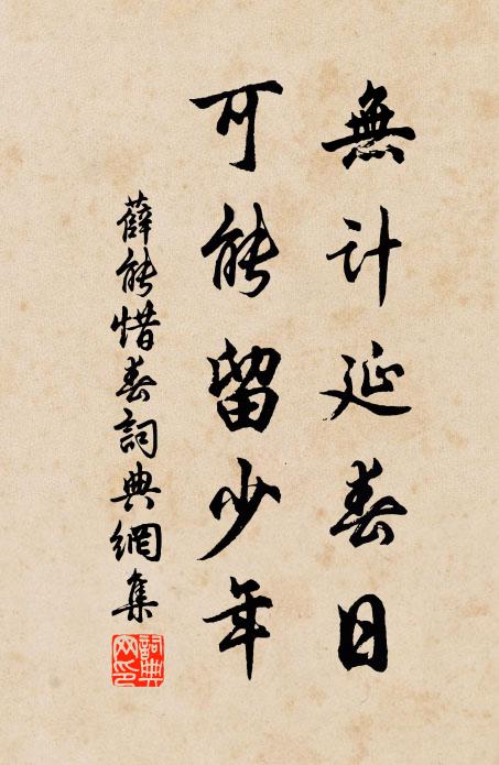薛能无计延春日，可能留少年书法作品欣赏