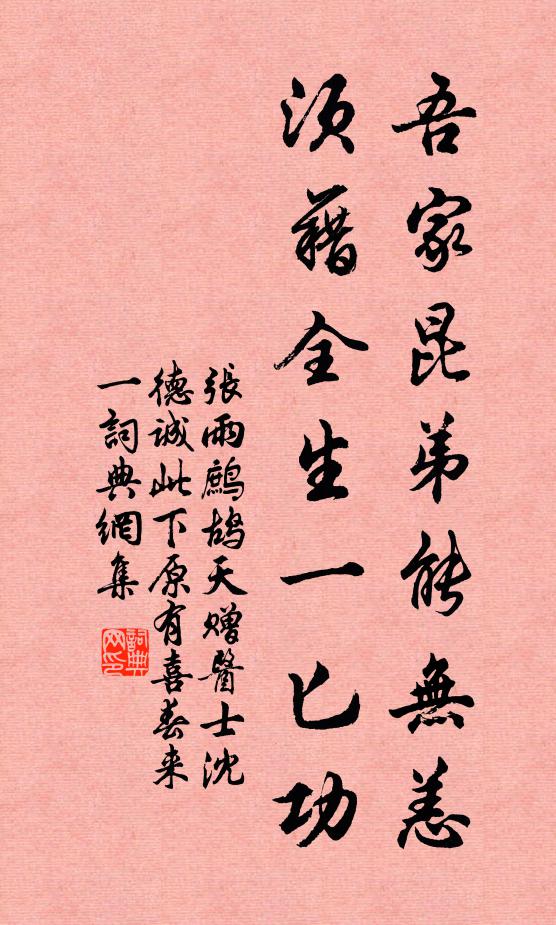 张雨吾家昆弟能无恙，须藉全生一匕功书法作品欣赏