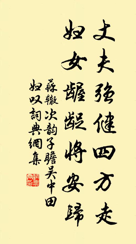 苏辙丈夫强健四方走，妇女龌龊将安归书法作品欣赏