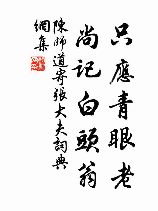 陈师道只应青眼老，尚记白头翁书法作品欣赏
