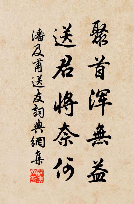 潘及甫聚首浑无益，送君将奈何书法作品欣赏
