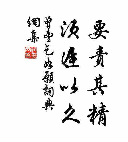 曾丰要责其精,须迟以久书法作品欣赏
