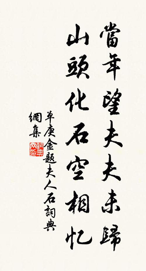 单庚金当年望夫夫未归，山头化石空相忆书法作品欣赏