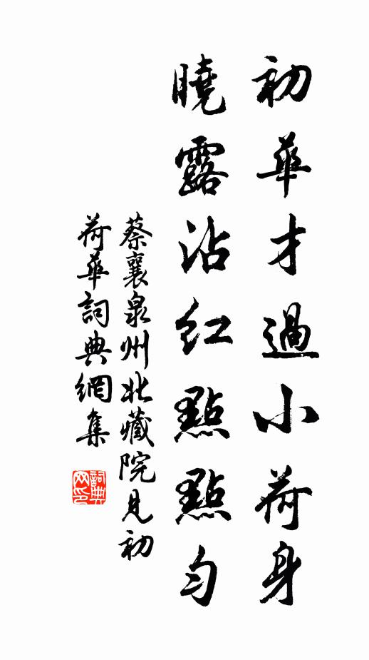 蔡襄初华才过小荷身，晓露沾红点点匀书法作品欣赏