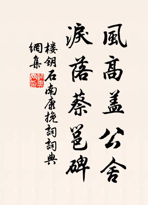 楼钥风高盖公舍,泪落蔡邕碑书法作品欣赏