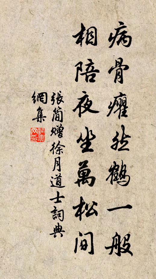 张简病骨癯然鹤一般，相陪夜坐万松间书法作品欣赏